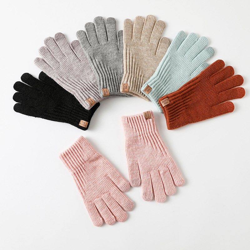 Women Winter Thickened Fleece  - Wool Glove Lined review and price