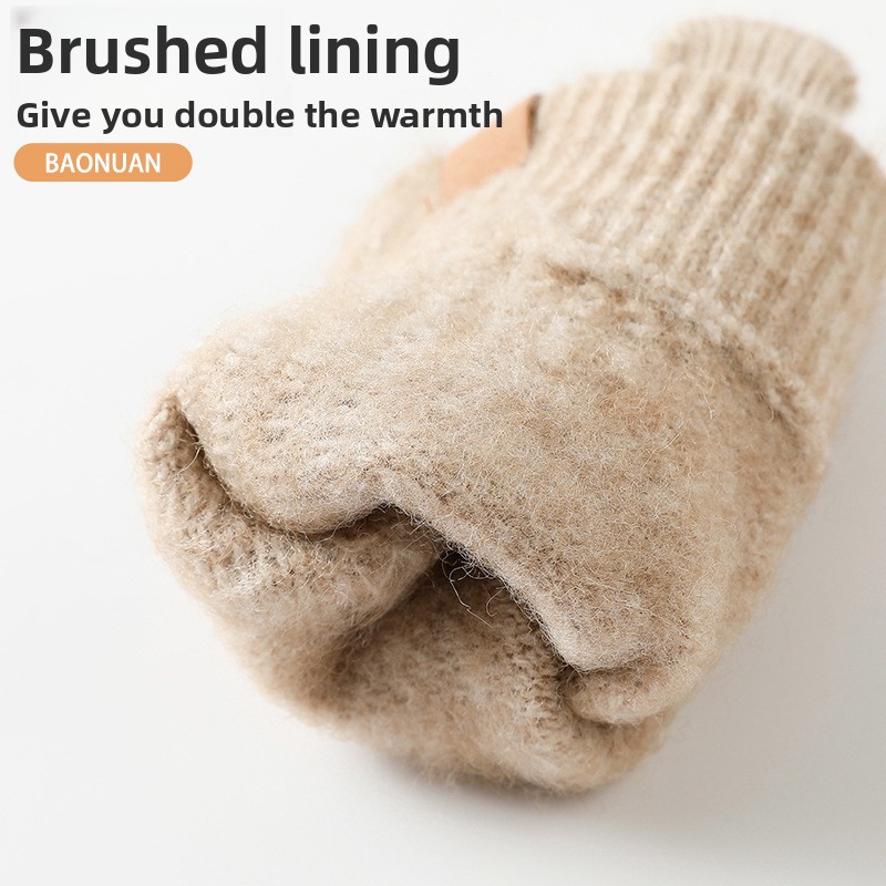 Women Winter Thickened Fleece  - Wool Glove Lined review and price